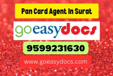 Pan Card Agent Consultant in Surat 8851415812