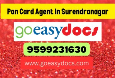 Pan Card Agent Consultant in Surendranagar 8851415812