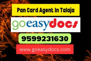 Pan Card Agent Consultant in Talaja 8851415812