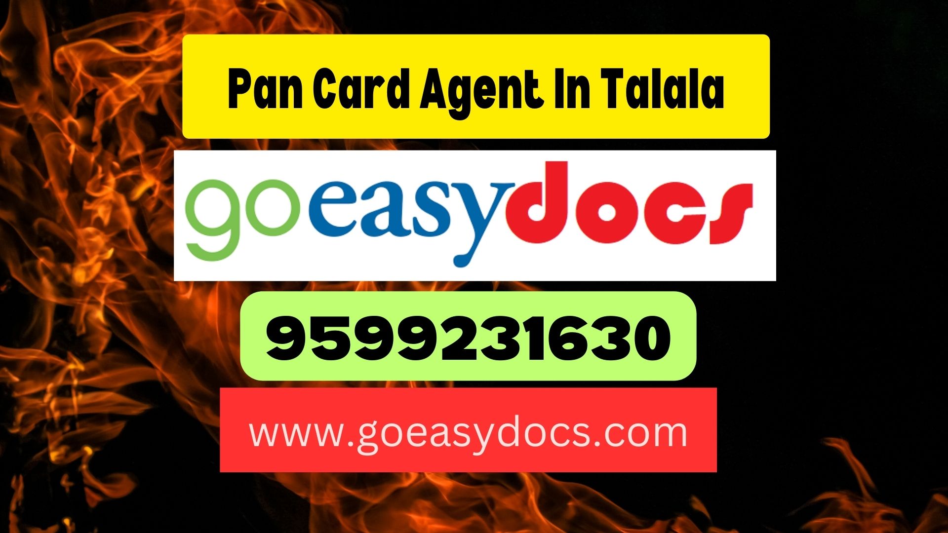 Pan Card Agent Consultant in Talala 8851415812