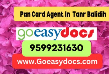 PaPan Card Agent Consultant in Tanr Balidih 8851415812