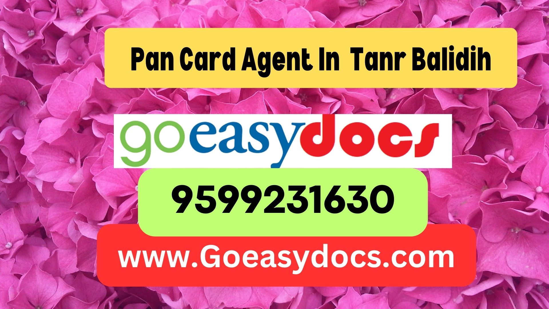 PaPan Card Agent Consultant in Tanr Balidih 8851415812