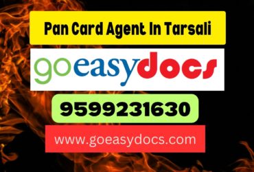 Pan Card Agent Consultant in Tarsali 8851415812