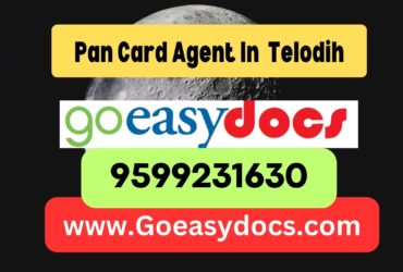 Pan Card Agent Consultant in Telodih 8851415812