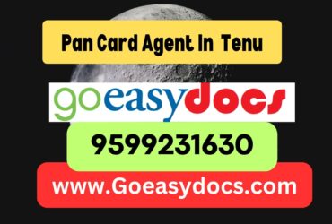 Pan Card Agent Consultant in Tenu 8851415812