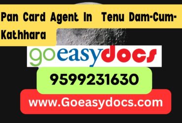 Pan Card Agent Consultant in Tenu Dam-Cum-Kathhara 8851415812