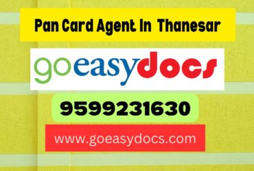 Pan Card Agent Consultant in Thanesar 8851415812