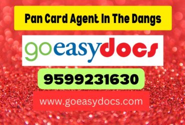 Pan Card Agent Consultant in The Dangs 8851415812