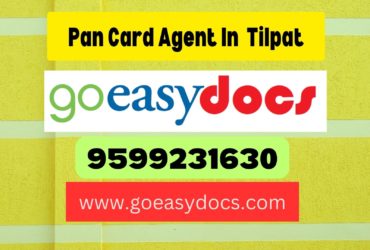 h1>Pan Card Agent Consultant in Tilpat 8851415812