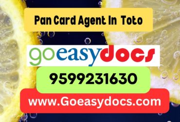 Pan Card Agent Consultant in Toto 8851415812