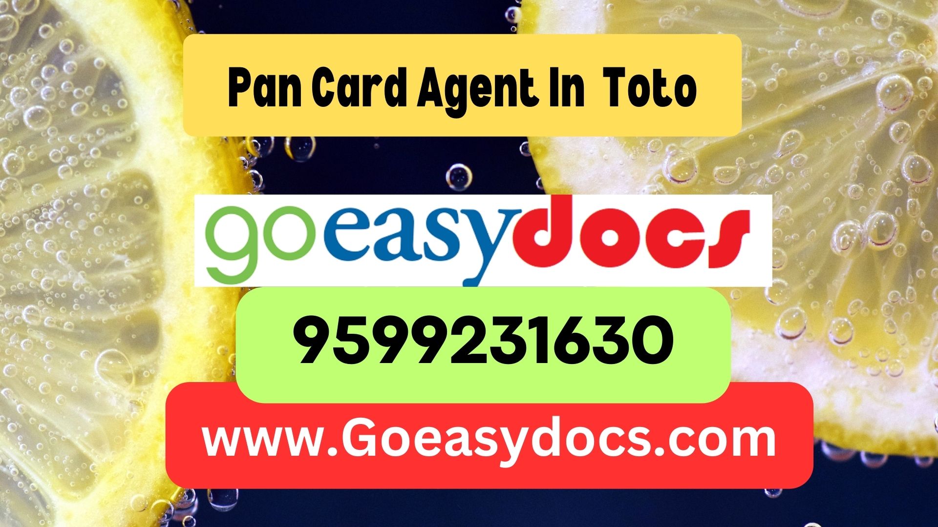 Pan Card Agent Consultant in Toto 8851415812