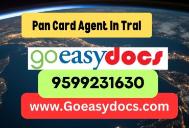 Pan Card Agent Consultant in Tral 8851415812