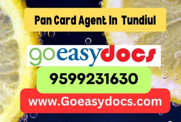 Pan Card Agent Consultant in Tundiul 8851415812