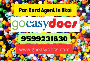 Pan Card Agent Consultant in Ukai 8851415812