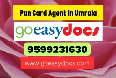 Pan Card Agent Consultant in Umrala 8851415812