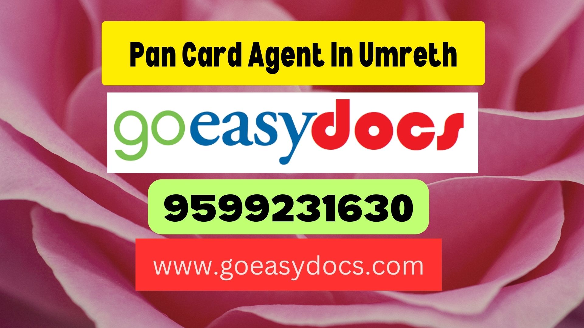 Pan Card Agent Consultant in Umreth 8851415812