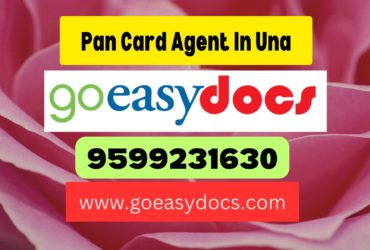 Pan Card Agent Consultant in Una 8851415812