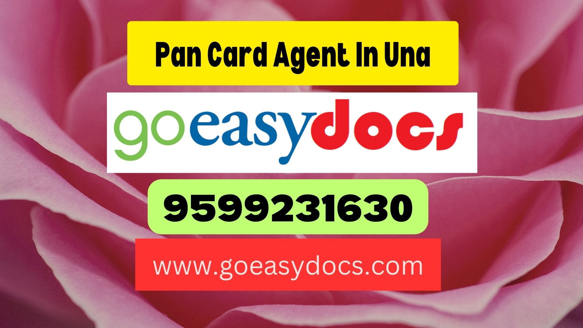 Pan Card Agent Consultant in Una 8851415812