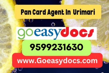 Pan Card Agent Consultant in Urimari 8851415812