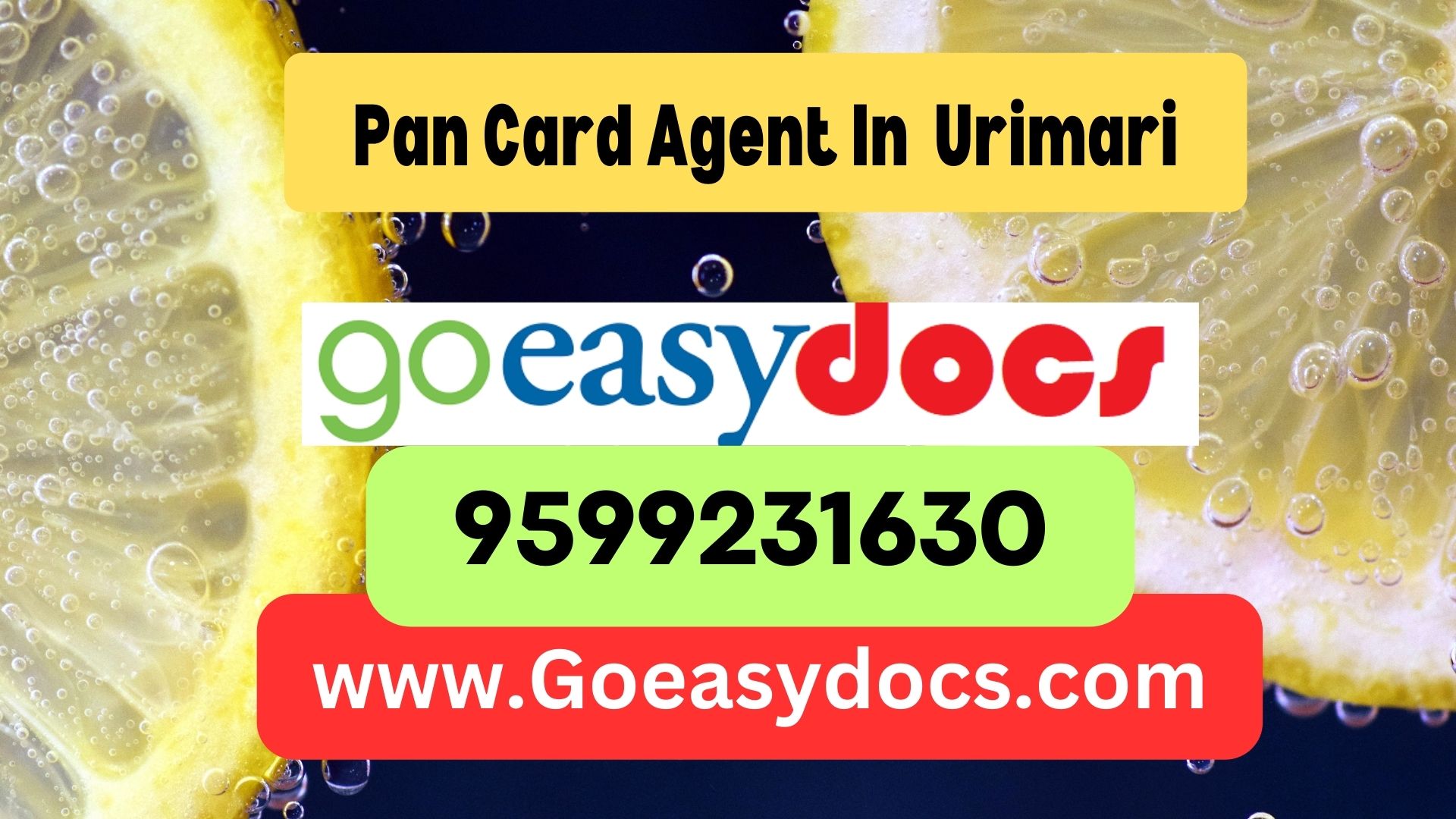 Pan Card Agent Consultant in Urimari 8851415812