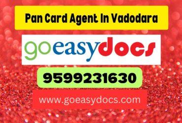 Pan Card Agent Consultant in Vadodara 8851415812