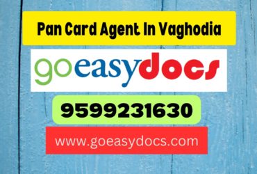 Pan Card Agent Consultant in Vaghodia  8851415812