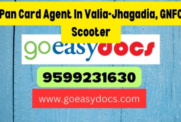 Pan Card Agent Consultant in Valia-Jhagadia, GNFC Scooter Project Area 8851415812