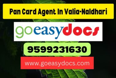 Pan Card Agent Consultant in Valia-Naldhari 8851415812