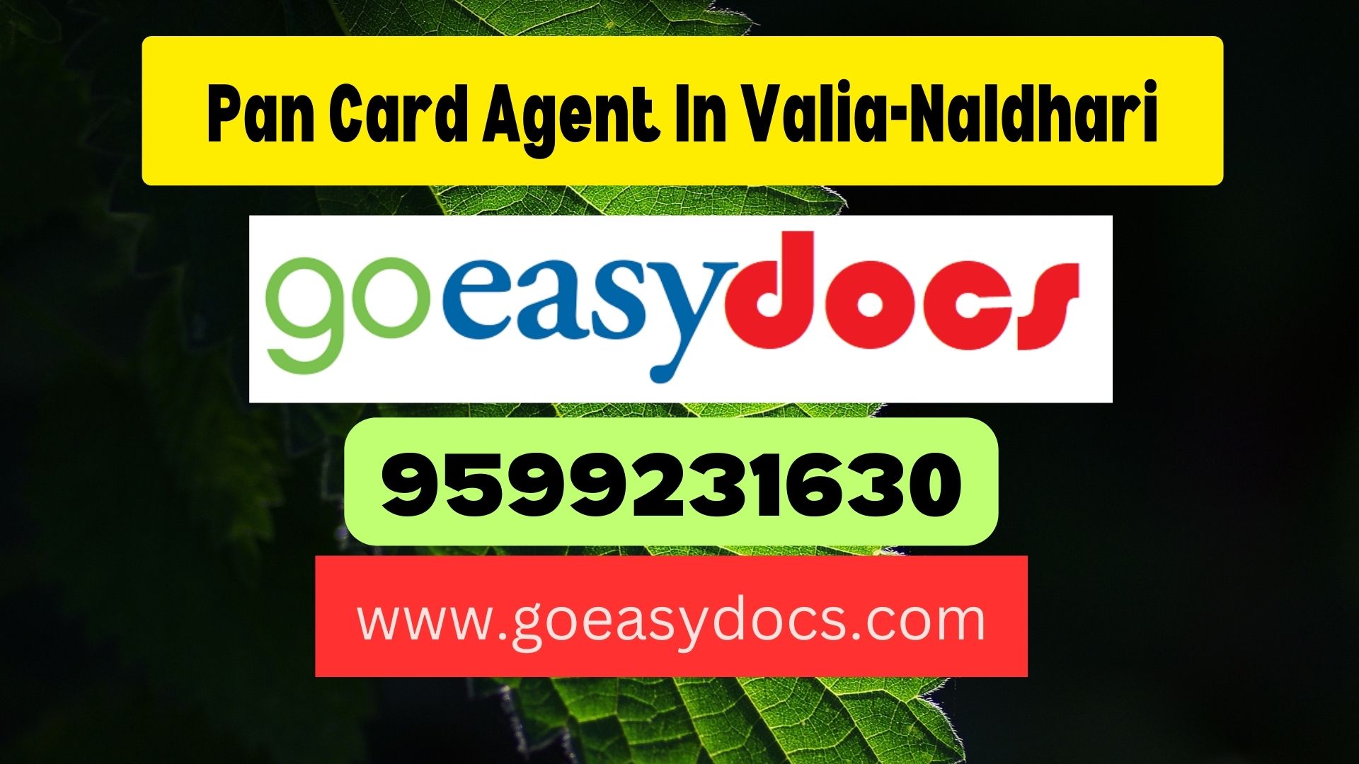 Pan Card Agent Consultant in Valia-Naldhari 8851415812