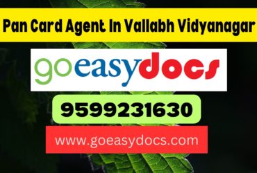 Pan Card Agent Consultant in Vallabh Vidyanagar  8851415812