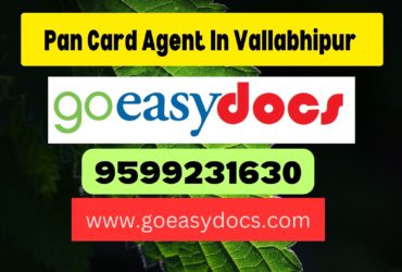 Pan Card Agent Consultant in Vallabhipur (Vallabhi) 8851415812