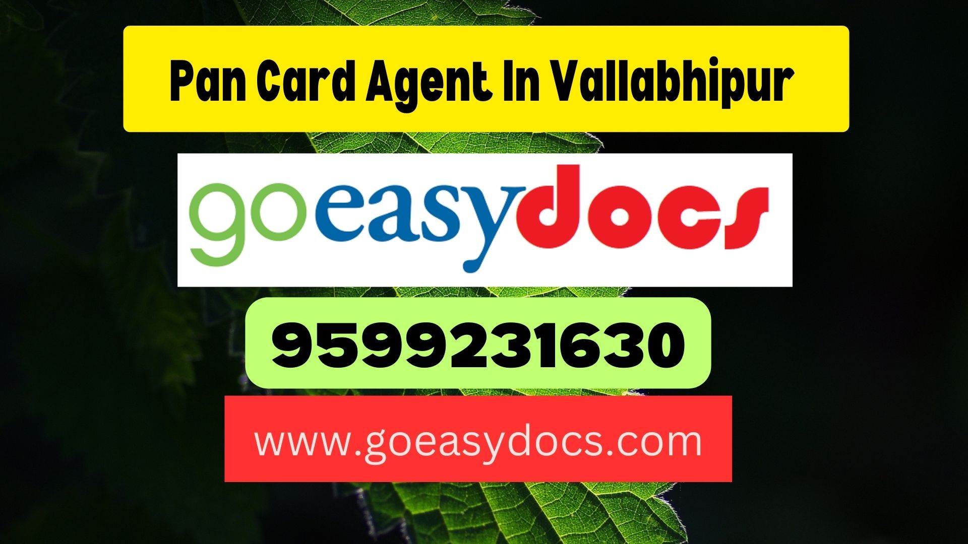 Pan Card Agent Consultant in Vallabhipur (Vallabhi) 8851415812