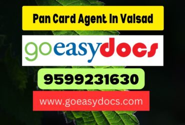 Pan Card Agent Consultant in Valsad 8851415812