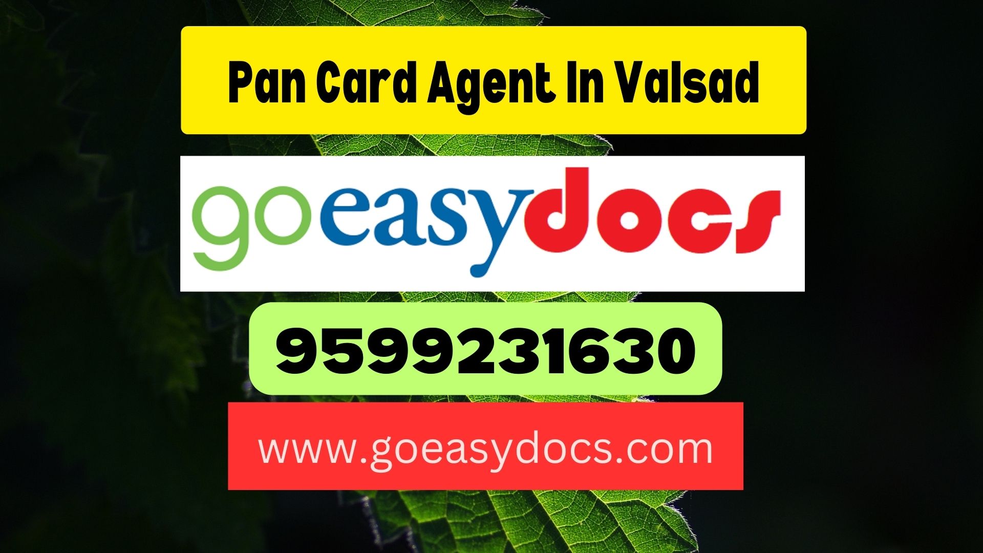 Pan Card Agent Consultant in Valsad 8851415812