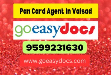 Pan Card Agent Consultant in Valsad 8851415812