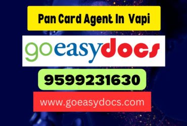 Pan Card Agent Consultant in Vapi 8851415812