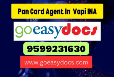 Pan Card Agent Consultant in Vapi INA 8851415812