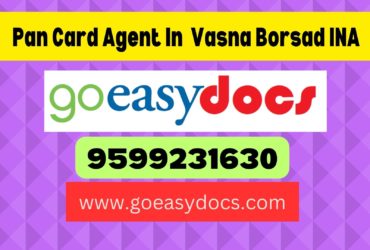 Pan Card Agent Consultant in Vasna Borsad INA 8851415812