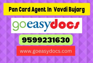 Pan Card Agent Consultant in Vavdi Bujarg 8851415812