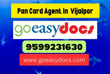 Pan Card Agent Consultant in Vijalpor 8851415812