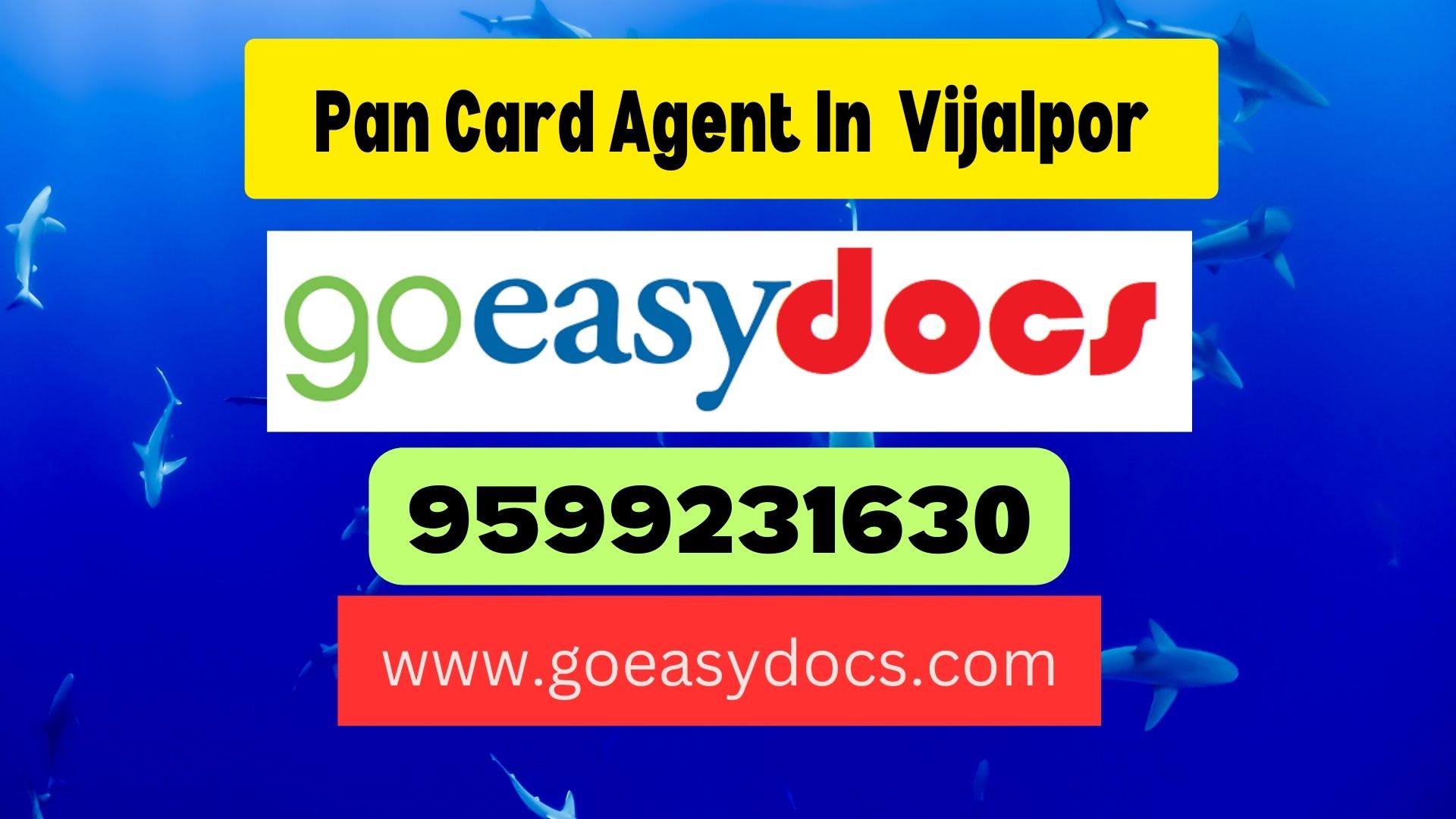 Pan Card Agent Consultant in Vijalpor 8851415812