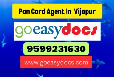 Pan Card Agent Consultant in Vijapur 8851415812