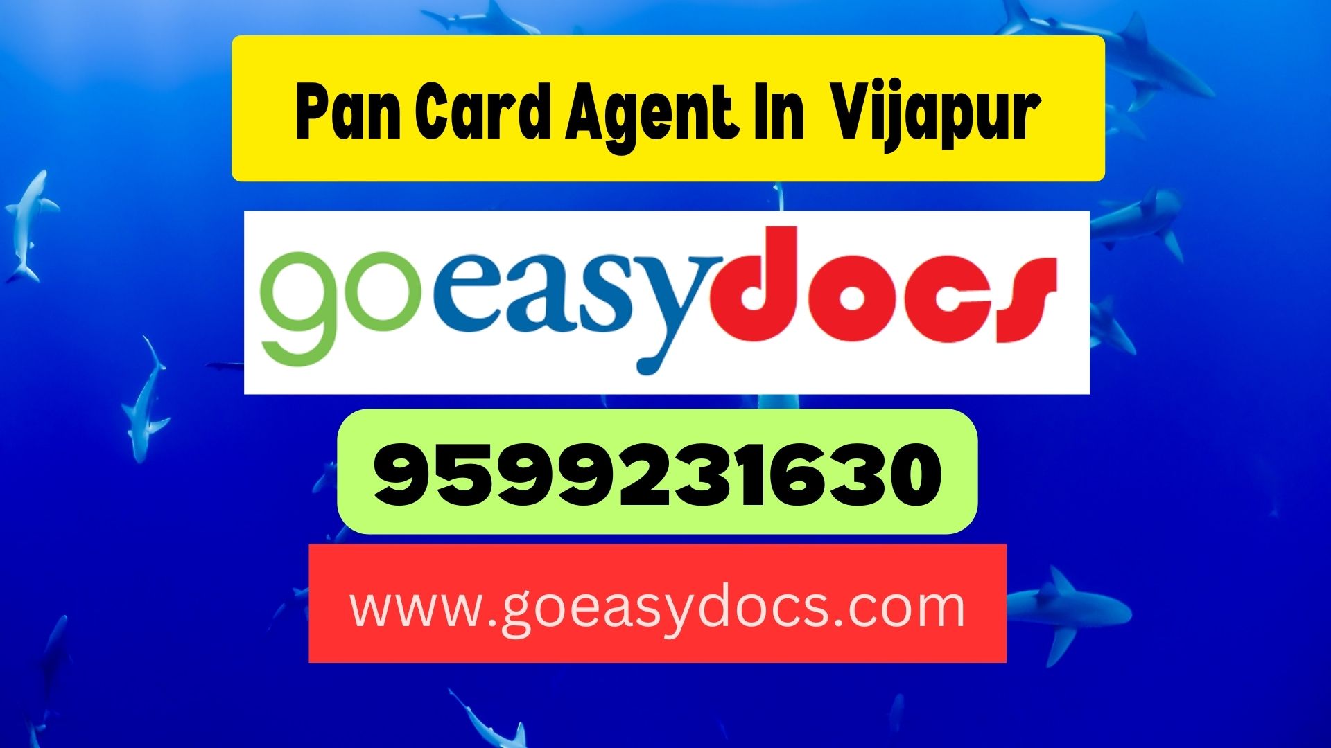 Pan Card Agent Consultant in Vijapur 8851415812