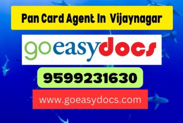 Pan Card Agent Consultant in Vijaynagar 8851415812