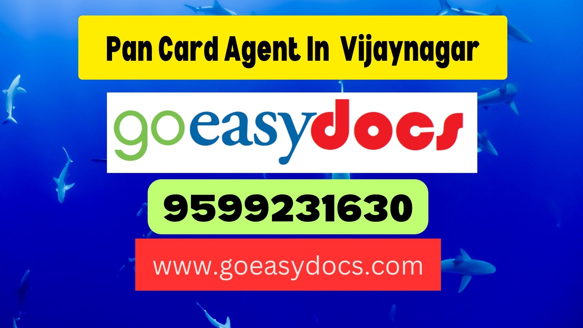 Pan Card Agent Consultant in Vijaynagar 8851415812