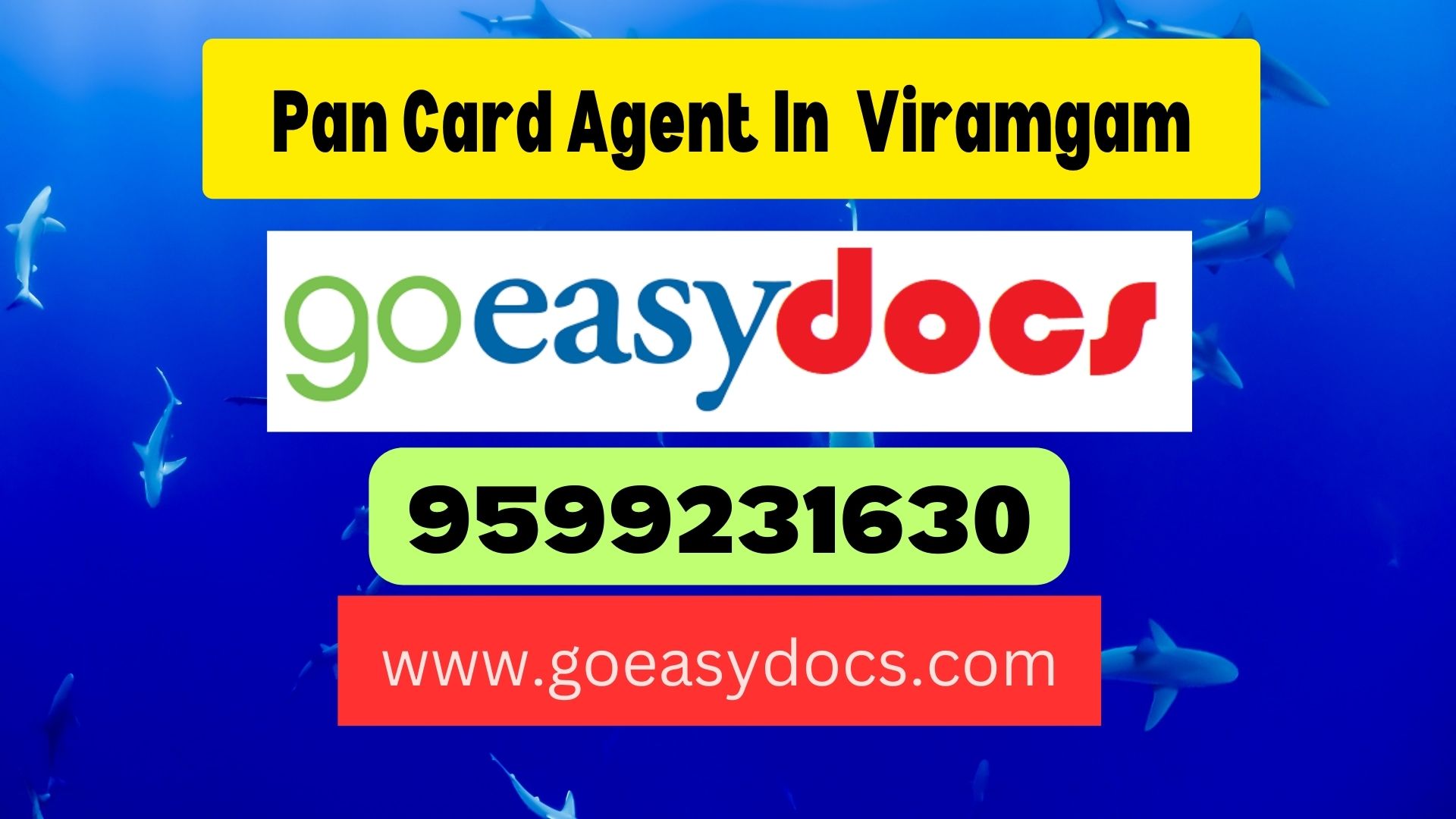 Pan Card Agent Consultant in Viramgam 8851415812