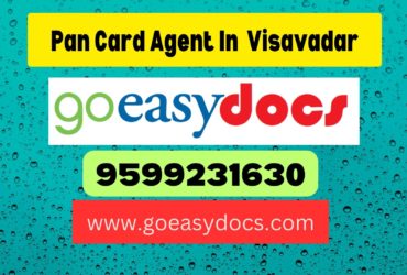 Pan Card Agent Consultant in Visavadar 8851415812