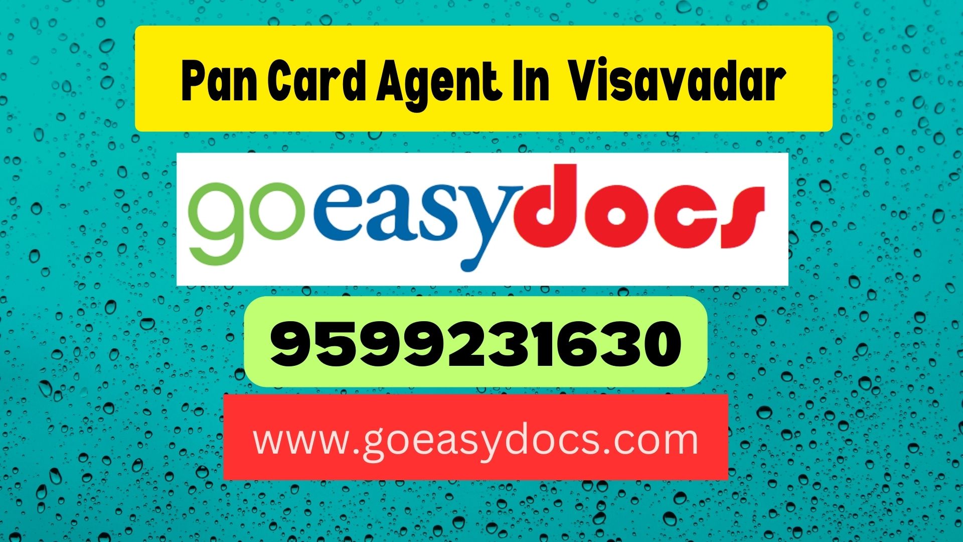 Pan Card Agent Consultant in Visavadar 8851415812