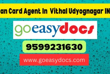 Pan Card Agent Consultant in Vithal Udyognagar INA 8851415812