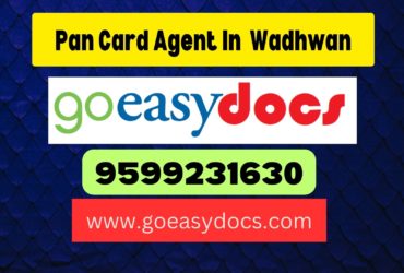 Pan Card Agent Consultant in Wadhwan 8851415812